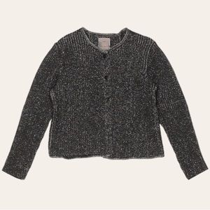 Zara Fall Sparkle Cardigan